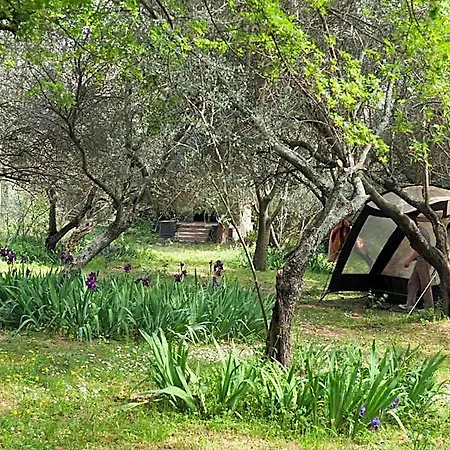 Hi Albergue Nîmes
